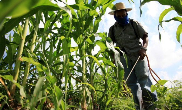 Las importaciones de materia prima agrícola alcanzan los 800 millones de dólares, reporta Fedeagro