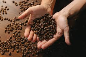 Venezuela tiene potencial para exportar cafés especiales con inversión y estrategia
