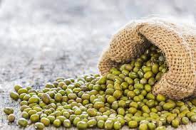 Empresa vietnamita quiere adquirir toda la producción de frijol mungo en Venezuela