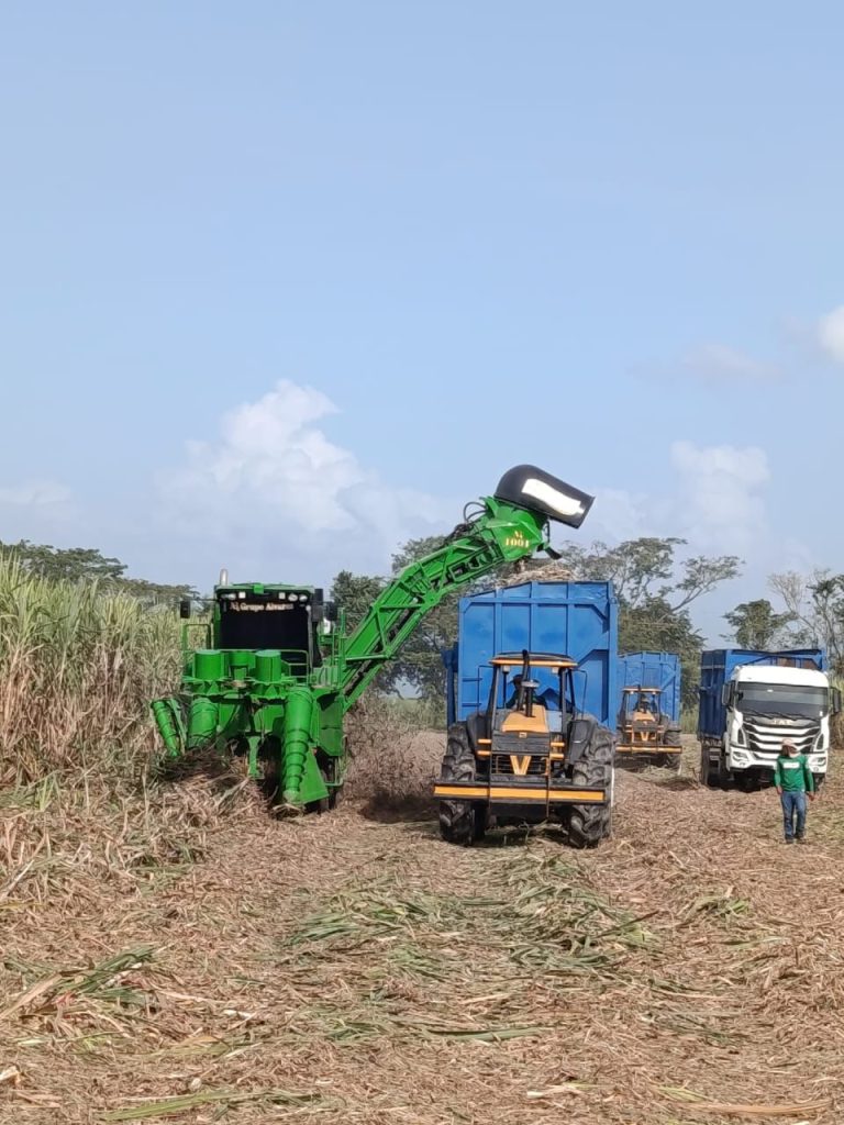 Venezuela reactivará cultivo de sorgo con importación de semillas híbridas en 2026
