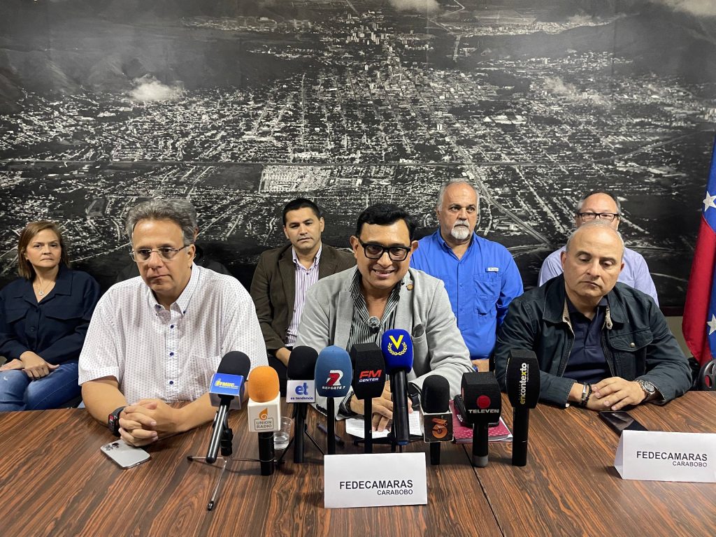 Empresarios solicitan exoneración de aranceles para importación de plantas eléctricas e inversores